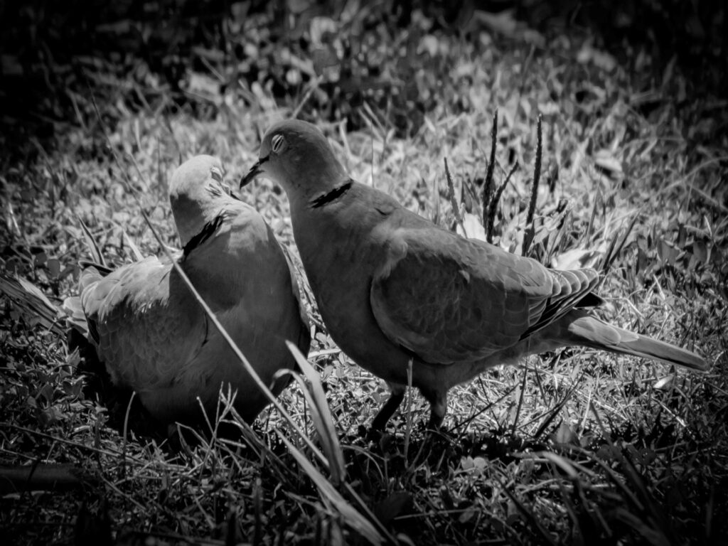 Über Flirten, Autismus und den Mut zur Echtheit